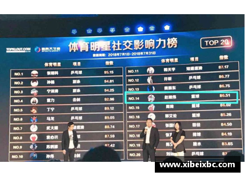 全球体育明星排行榜前十名：他们的辉煌成就与影响力解析