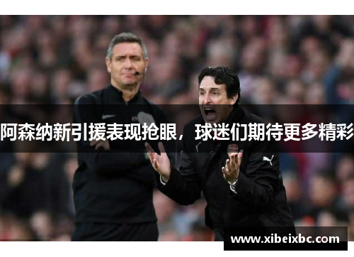 阿森纳新引援表现抢眼，球迷们期待更多精彩