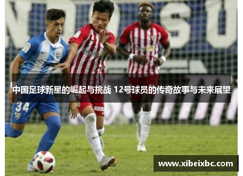 中国足球新星的崛起与挑战 12号球员的传奇故事与未来展望