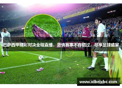 巴萨西甲精彩对决全程直播，激情赛事不容错过，尽享足球盛宴