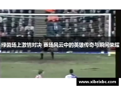 绿茵场上激情对决 赛场风云中的英雄传奇与瞬间荣耀