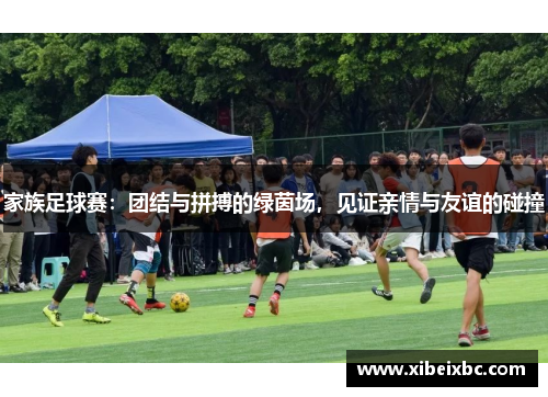 家族足球赛：团结与拼搏的绿茵场，见证亲情与友谊的碰撞