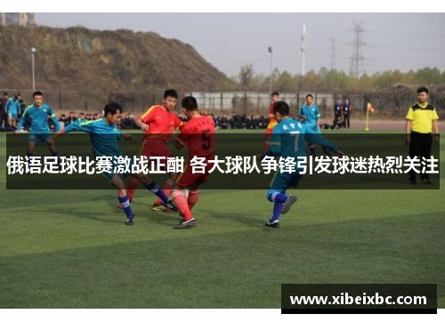 俄语足球比赛激战正酣 各大球队争锋引发球迷热烈关注