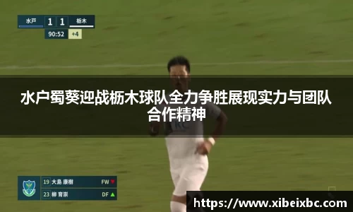 zoty中欧水户蜀葵迎战枥木球队全力争胜展现实力与团队合作精神