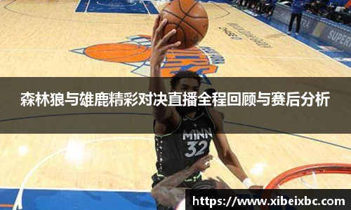 zoty中欧森林狼与雄鹿精彩对决直播全程回顾与赛后分析